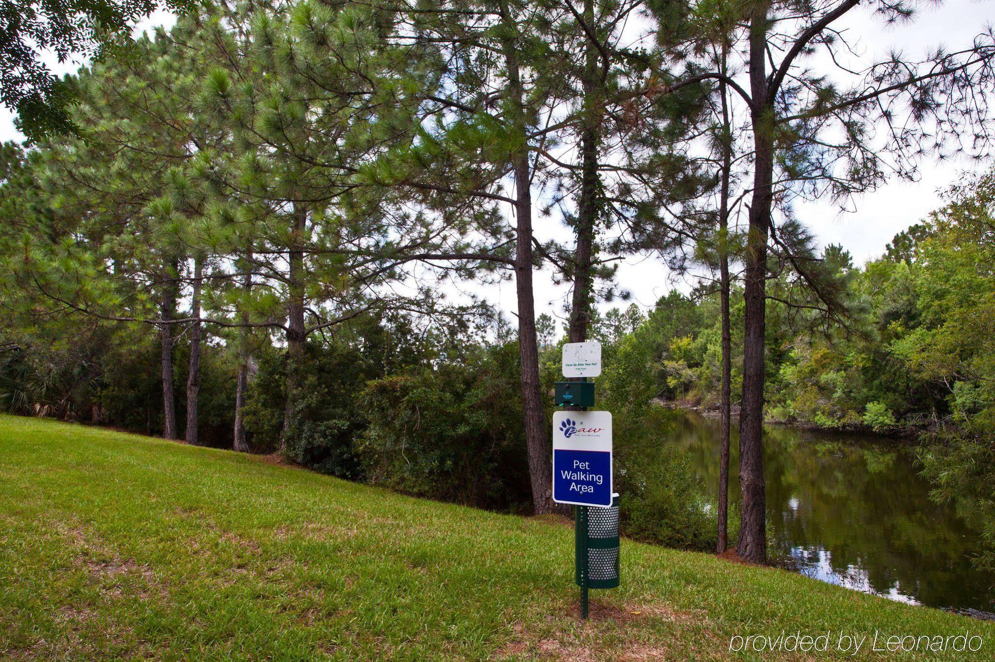 Sonesta Simply Suites Jacksonville Buitenkant foto