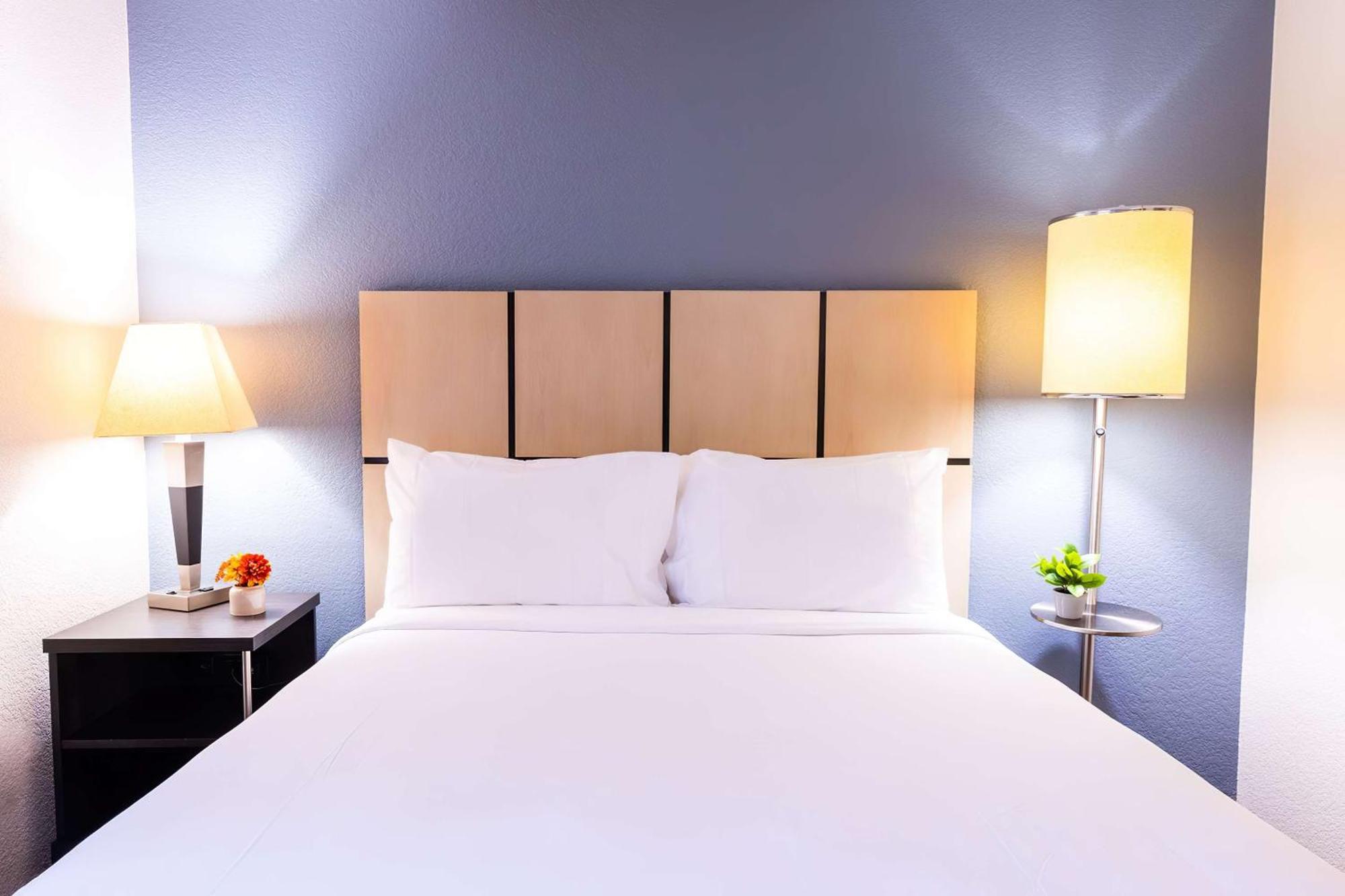 Sonesta Simply Suites Jacksonville Buitenkant foto