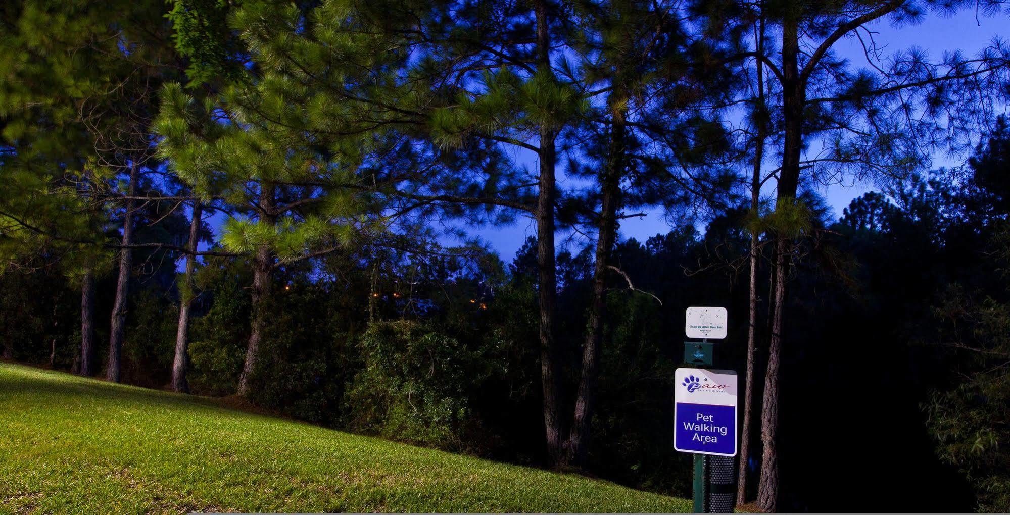 Sonesta Simply Suites Jacksonville Buitenkant foto